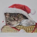 Christmas cat in coloured pencil