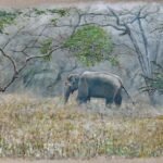 'Elephant In The Mist' acrylic on canvas 'Elephant In The Mist' acrylic on canvas