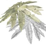 Detail of Tetrapanex painting Detail of Tetrapanex painting