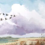 Geese fly by