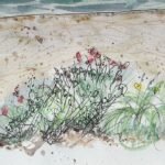 Aldeburgh Beach, pen, ink, watercolour.