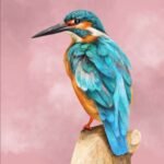 #1 - Kingfisher