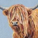 Highland Cow Highland Cow
