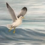 Born to Fly Born to Fly