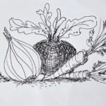Vegetable illustrations for recipe booklet
