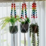 Rainbow Macrame Plant Hangers Rainbow Macrame Plant Hangers