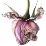 Anahata - singing Anahata - singing