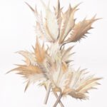 Eryngium painting Eryngium painting