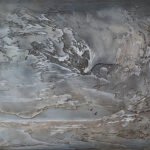 Jill Hodgson