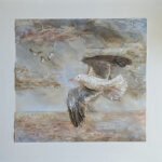 Jill Hodgson