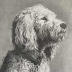 Pencil and charcoal