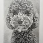 Pencil and charcoal