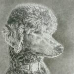 Pencil and charcoal