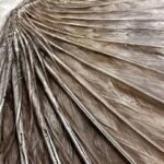 Buzzards wing Buzzards wing