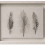 3 swan feathers with dry pigment 3 swan feathers with dry pigment
